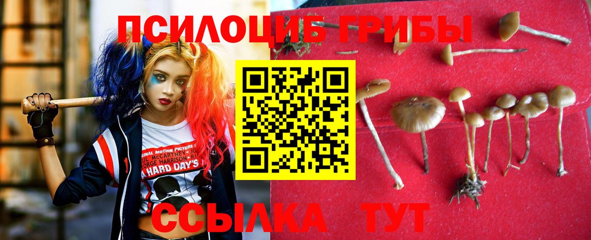 Псилоцибиновые грибы Magic Shrooms Зима