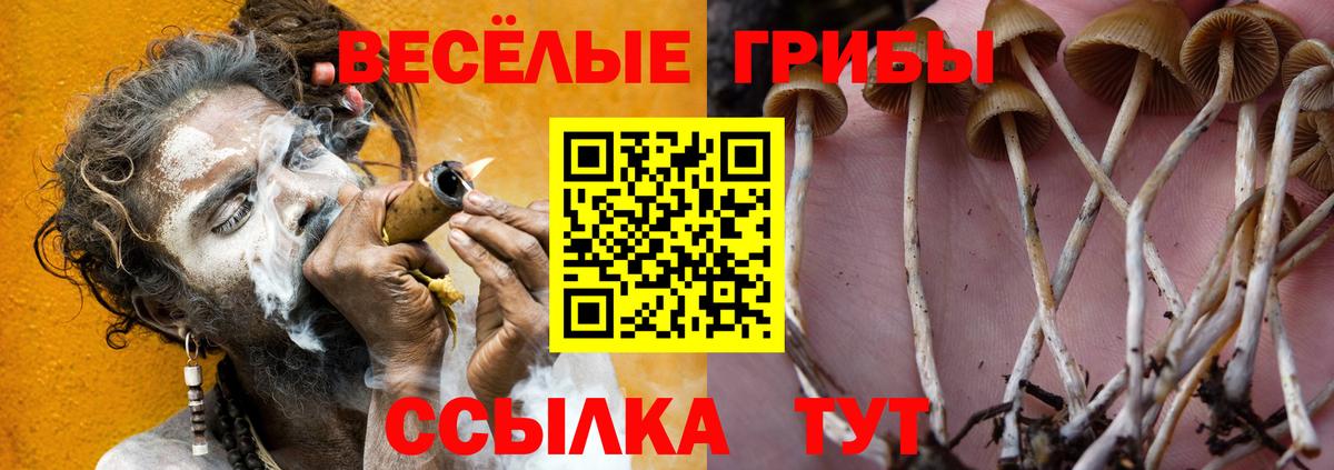 Зима  Галлюциногенные грибы Magic Shrooms  Псилоцибиновые грибы прущие грибы  Вход с VPN 