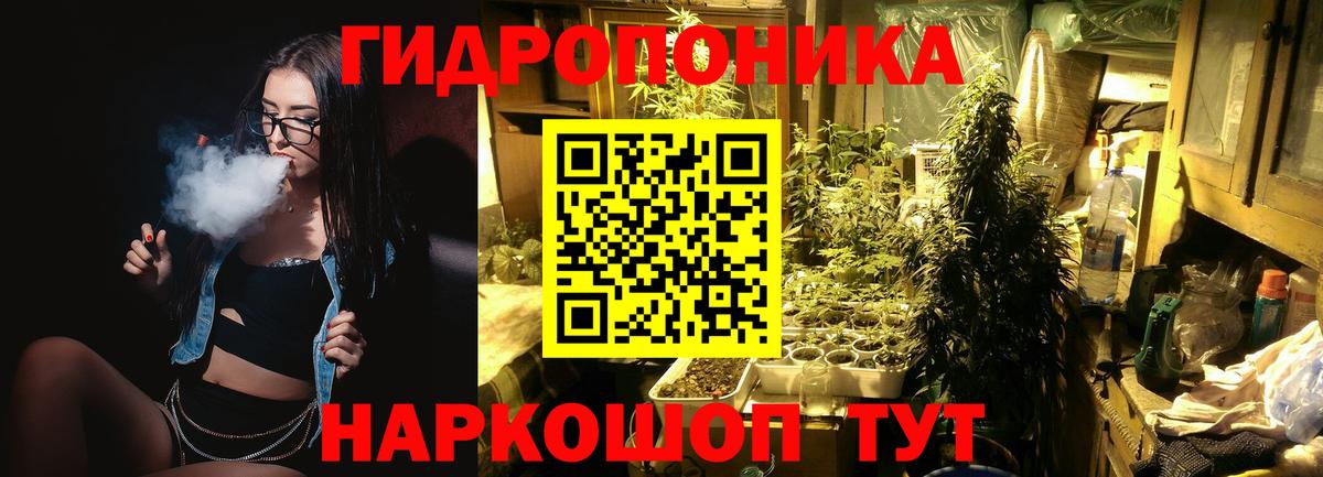 Марихуана план Зима